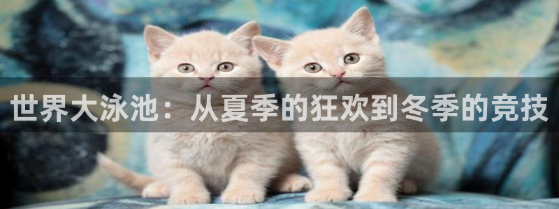 2026世界杯德国队阵容:世界大泳池:从夏季的狂欢到冬季的竞技