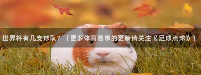 2026年世界杯赛程表时间:世界杯有几支球队?(更多体育赛事的更新请关注《足球点球》)