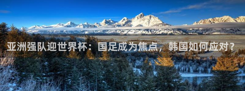 葡萄牙世界杯赛程:亚洲强队迎世界杯:国足成为焦点,韩国如何应对?