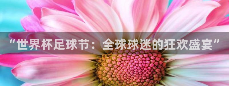 世界杯 直播:“世界杯足球节:全球球迷的狂欢盛宴”