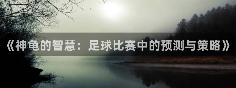 世界杯对阵图2026:《神龟的智慧:足球比赛中的预测与策略》