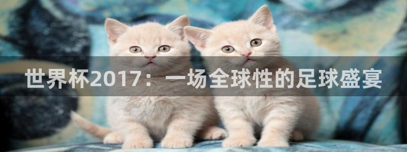 2026男足世界杯:世界杯2017:一场全球性的足球盛宴