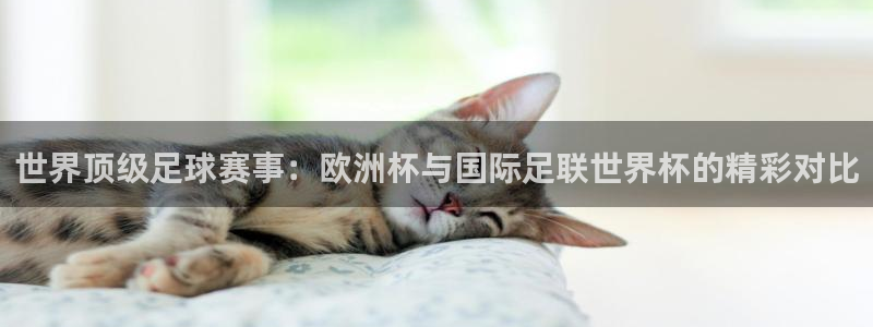 世界杯时间:世界顶级足球赛事:欧洲杯与国际足联世界杯的精彩对比